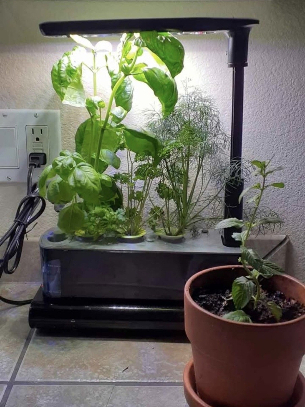 Indoor Hydroponic Herb Garden with LED Grow Light - Black